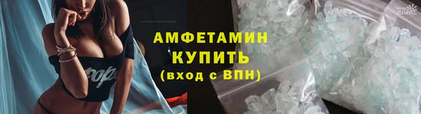 прущие грибы Белоозёрский