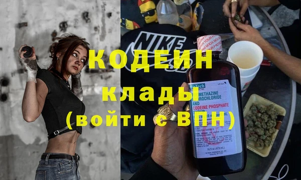 прущие грибы Белоозёрский