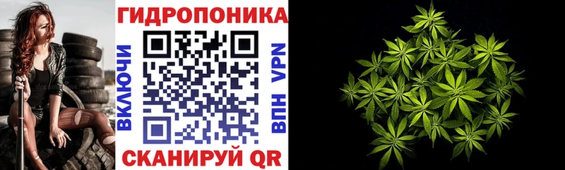 Конопля Bruce Banner  Печора 